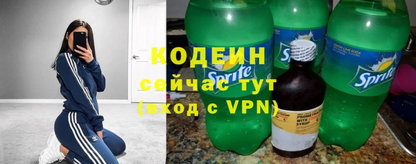 2c-b Горнозаводск