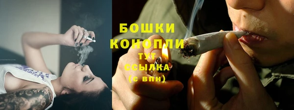 2c-b Горнозаводск