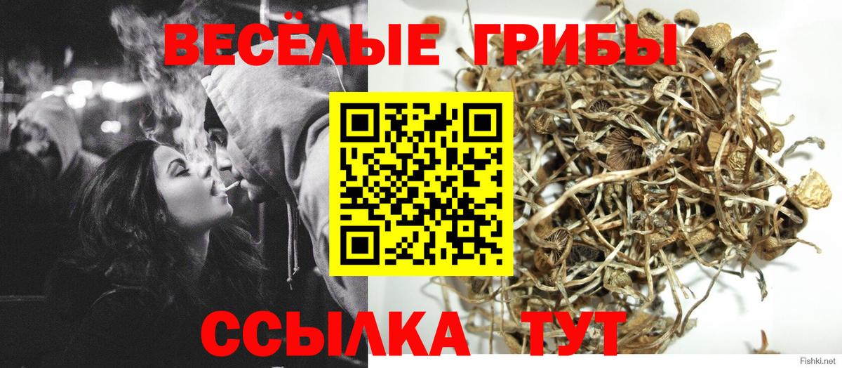 Псилоцибиновые грибы мухоморы Обнинск