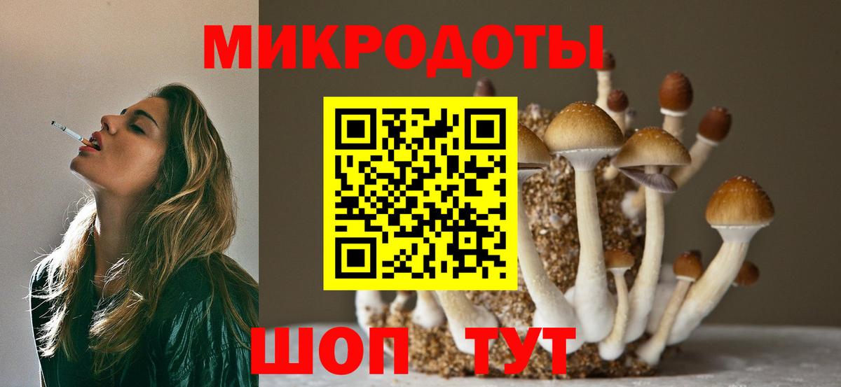 Обнинск  Псилоцибиновые грибы мицелий  Вход с VPN 